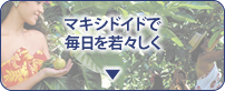 トゥルーエイジ マキシドイドはアンチエイジングに役立ちます